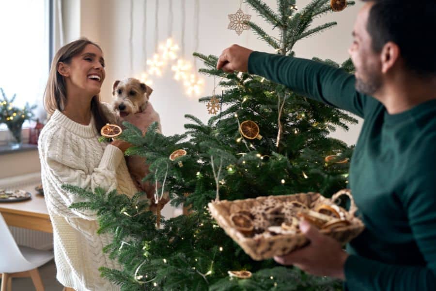 Pet Sitter’s Top Pet-Friendly Holiday Decorating Tips