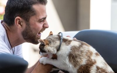 Responsible Pet Owners Month