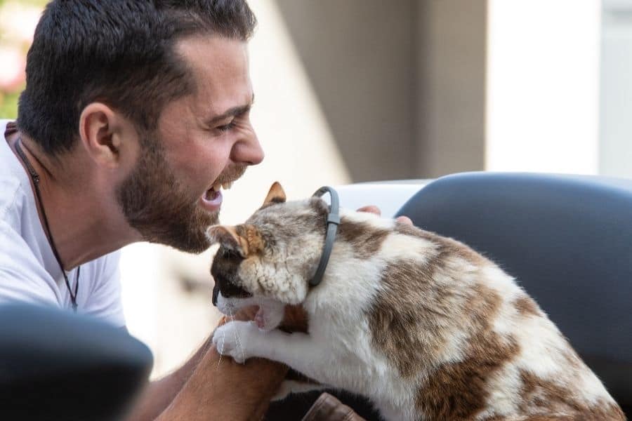 Responsible Pet Owners Month