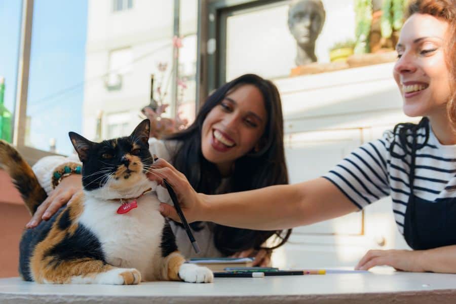 Pet Sitters Conferences