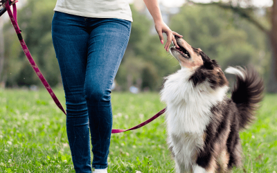 Hearts at Home’s Cancellation Policy