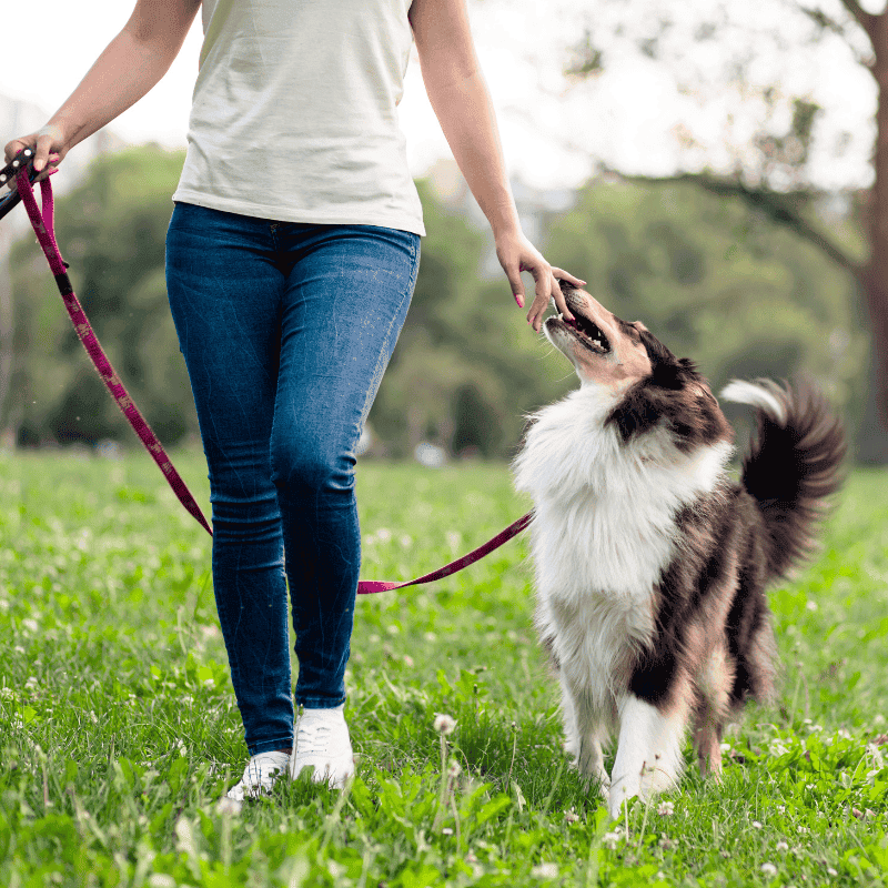 Hearts at Home's Cancellation Policy- Purpose (1)