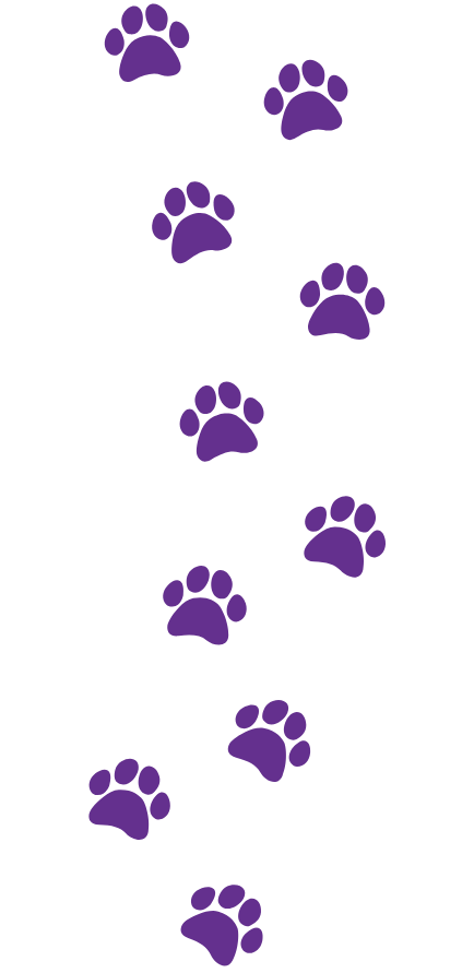 Purple Paws 64308e Purple Paws