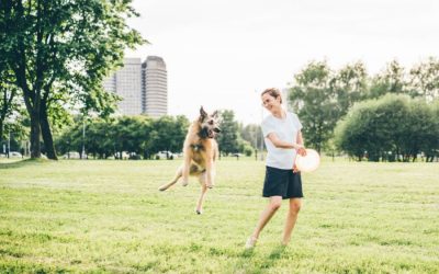 The Best Gift for Your Pet: The Power of Exercise