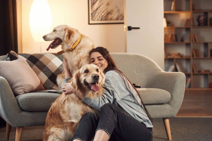 Woman sitting on the floor hugging two Golden Retrievers in a cozy living room.