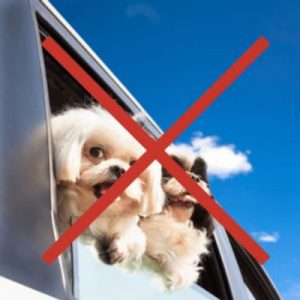 Two small dogs leaning out of a car window with a red X over the image
