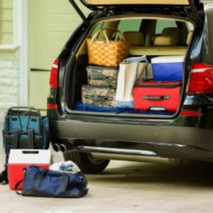 Prepare Your Puppy for Their First Road Trip-Pack Puppy Essentials