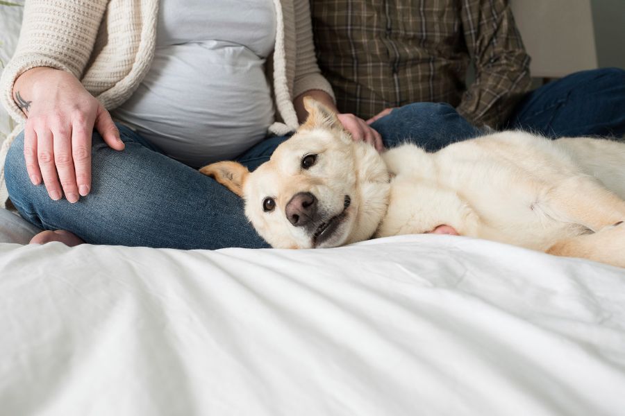 Couple sitting on a bed with their dog lying beside them in Yorktown, Virginia