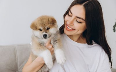 Do Your Home Work: Preparing Your Home for a Pet Sitter