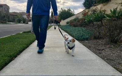 Exercise & Routine for All: A Back-to-School Power Duo