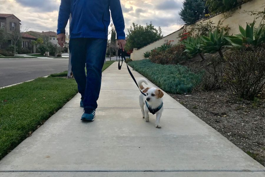 Exercise & Routine for All A Back-to-School Power Duo