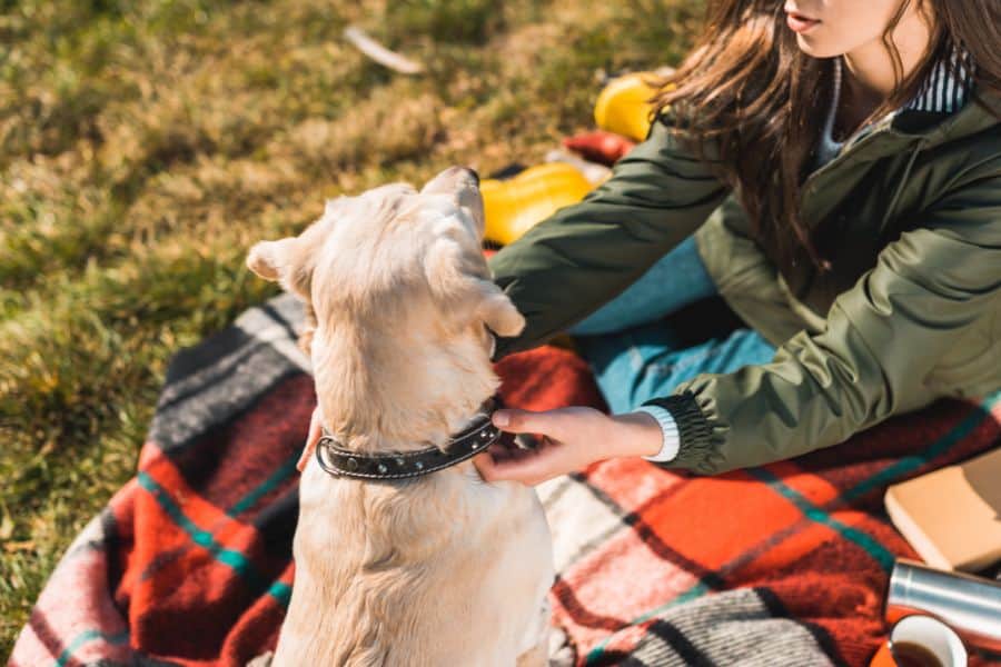Woman sitting on a blanket outdoors training her dog in Yorktown, Virginia