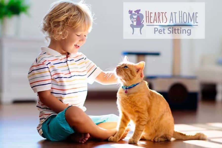 Books for Young Cat Lovers