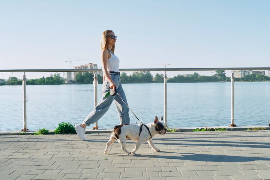 Dog-Friendly Yorktown