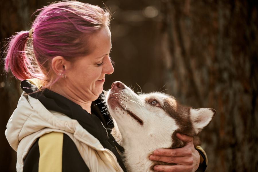 Four Easy Ways to Support Animal Rescues Through Donations