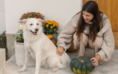 Giving Thanks for You, Pet Parents