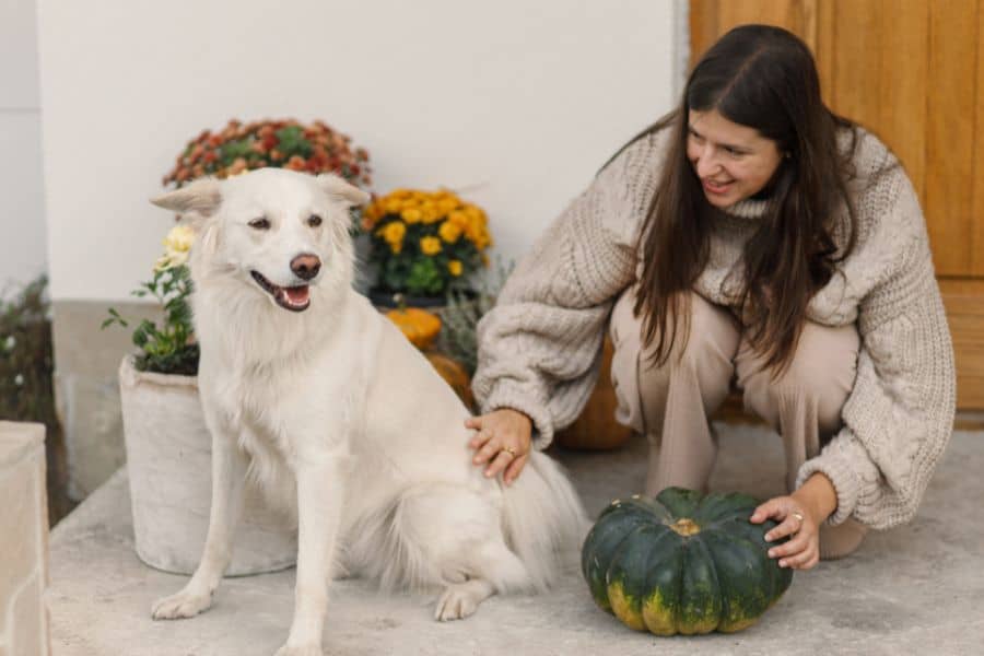 Giving Thanks for You, Pet Parents