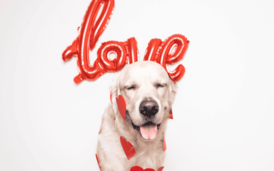 Hearts at Home This Valentine’s Day