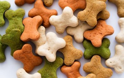 Healthy Treats for Dogs