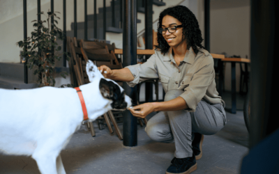 Prepare Your Home and Pet For Your Pet Sitter