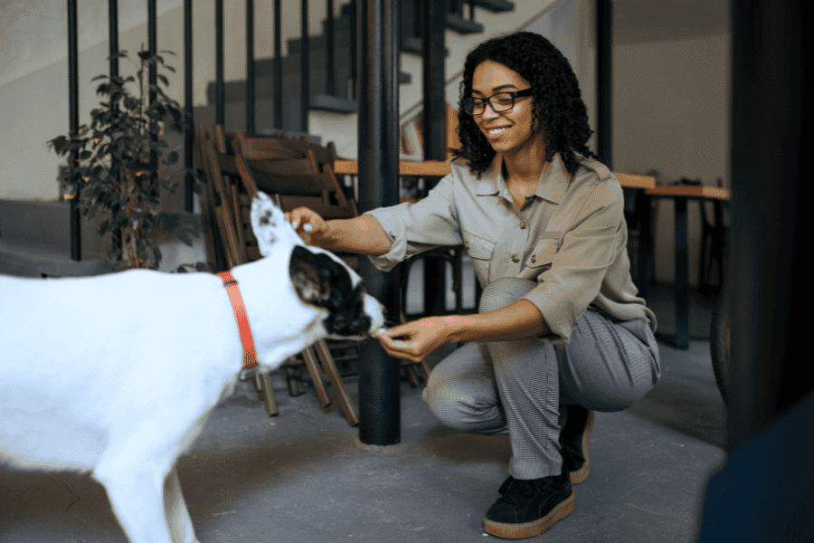 Cute woman playing with a black and white dog at Hearts at Home Pet Sitting, providing loving and reliable pet care services.