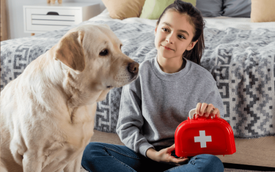 Pet First Aid for Kids & Teens