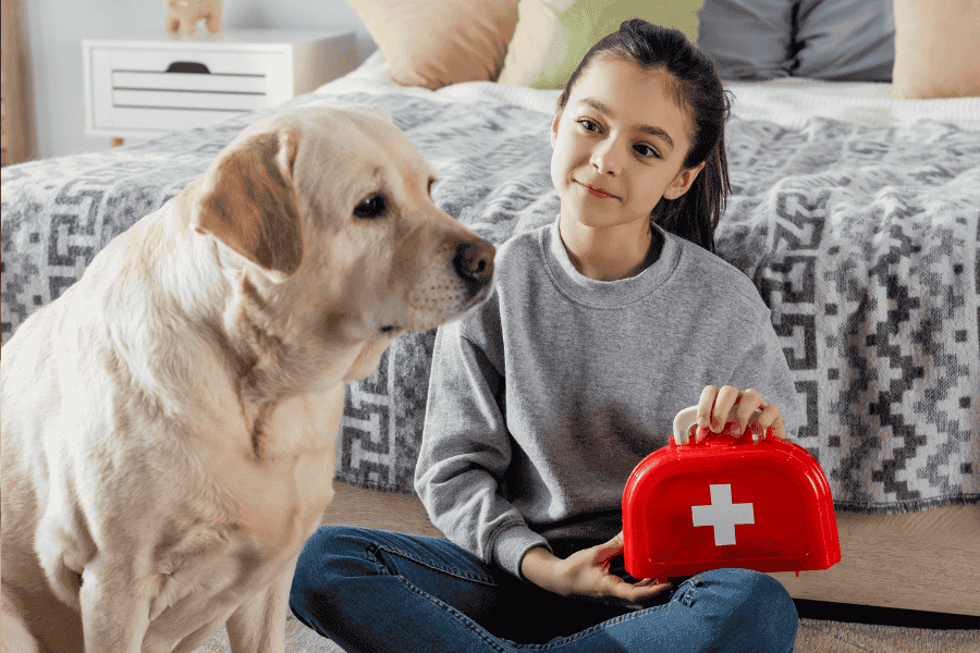 Pet First Aid and CPR Training for Kids & Teens