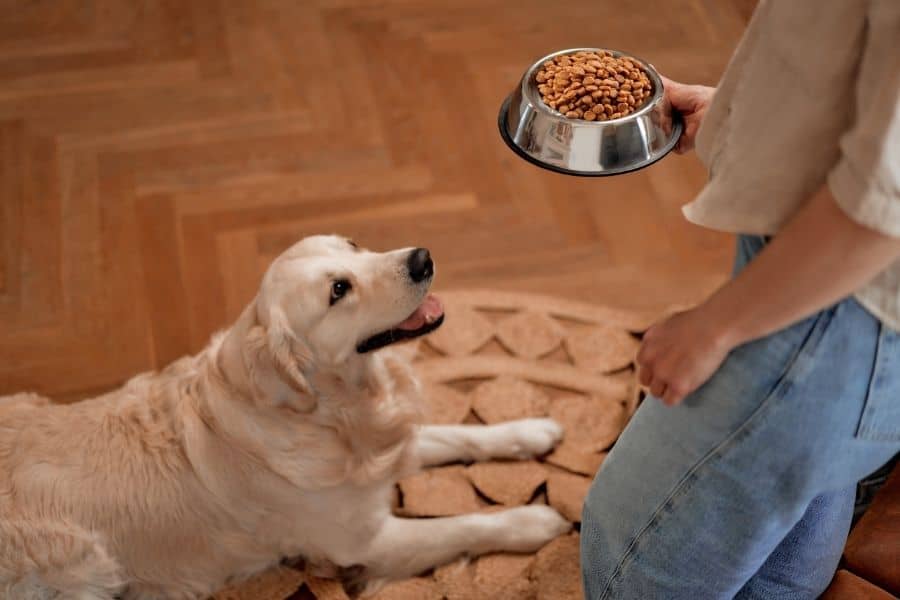 Pet Food Recalls