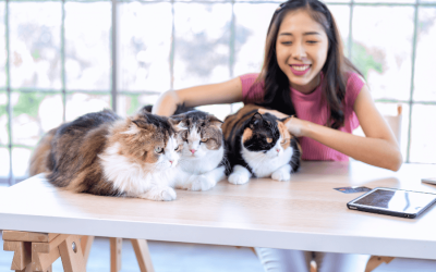 Pet Sitter Education