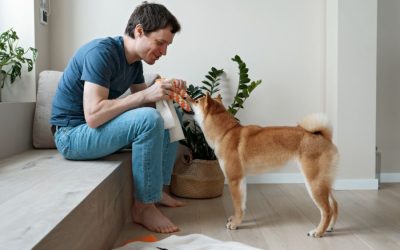 Pets & Cannabis Consumption