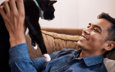 Responsible Pet Owners