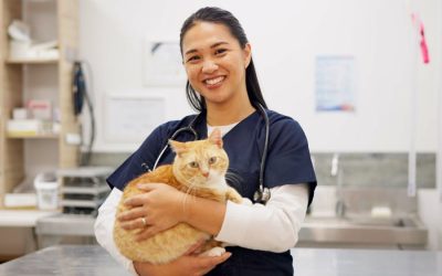 Shower Local Vet Clinics with Love: They Deserve It