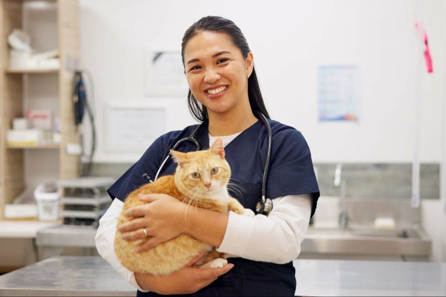 Compassionate veterinarian holding orange tabby cat in a clinical setting, showcasing pet care, veterinary services, animal wellness, and pet health.
