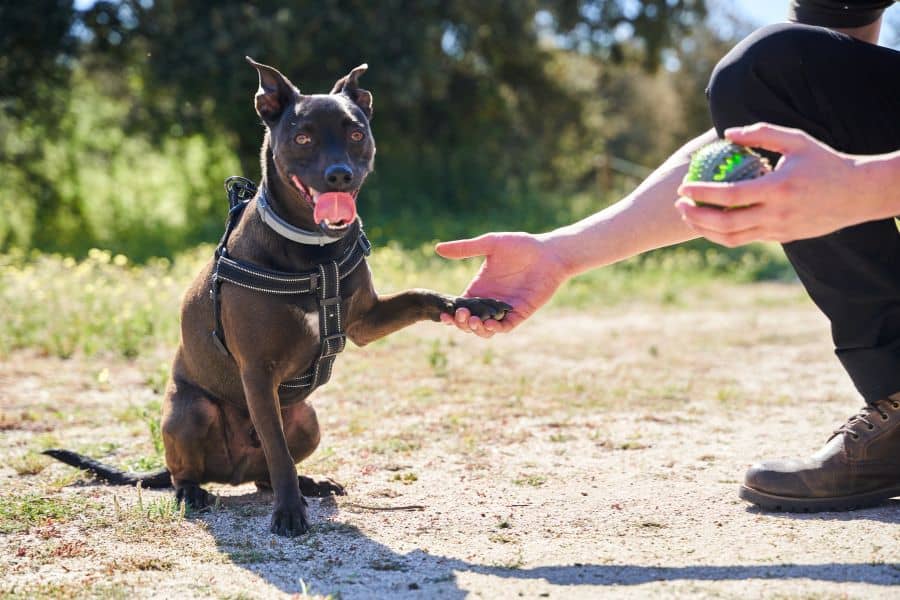 Spray Bottle vs. Management