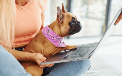 Pet Sitting Software Benefits