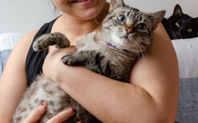 Understanding Pet Sitter Consultation Fees