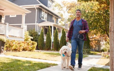 Yorktown Pet Licenses