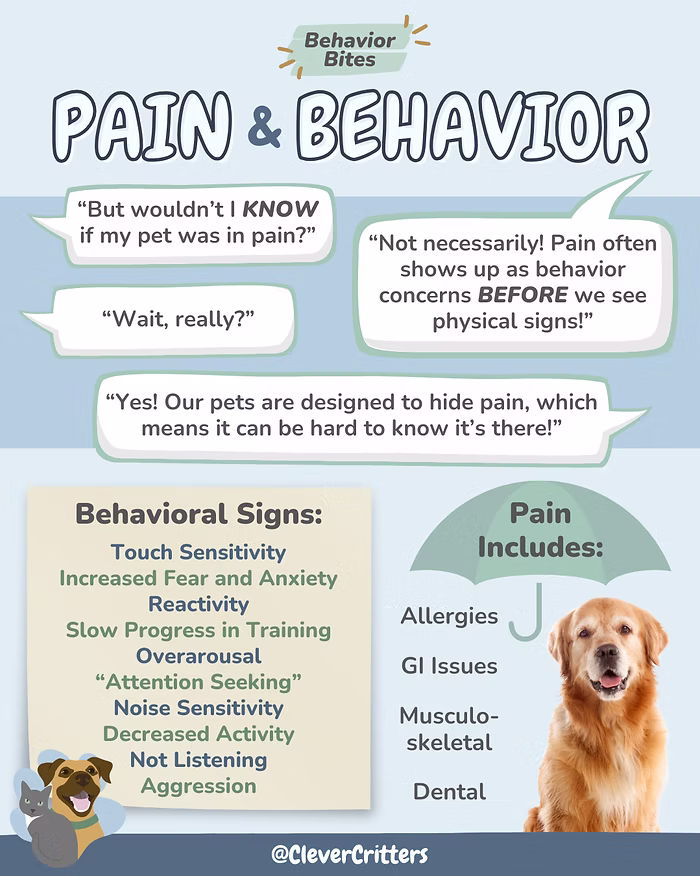 pain behavior