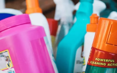 5 Pet Accident Clean-Up Tips That Work