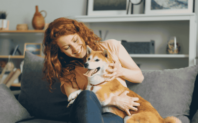 Raising the Bar: Pet Sitters International’s Global Standards