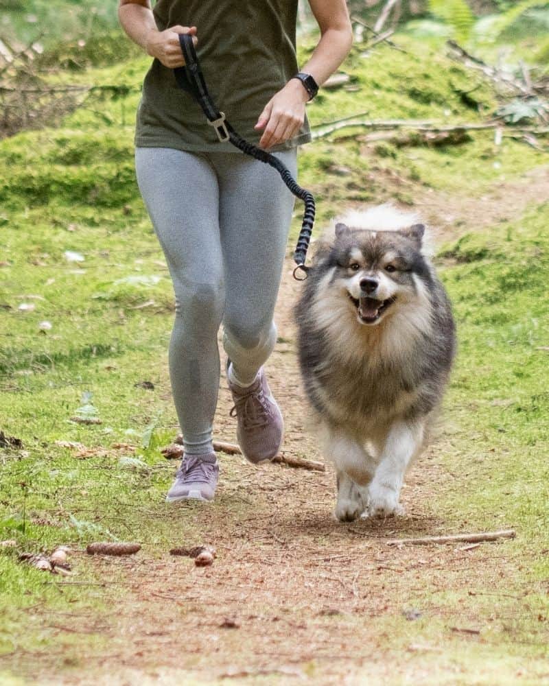 Girl jogging with dog on an adventure hike dog walking in Yorktown, Poquoson, Newport News, and Hampton, Virginia Girl jogging with dog on an adventure hike dog walking in Yorktown, Poquoson, Newport News, and Hampton, Virginia