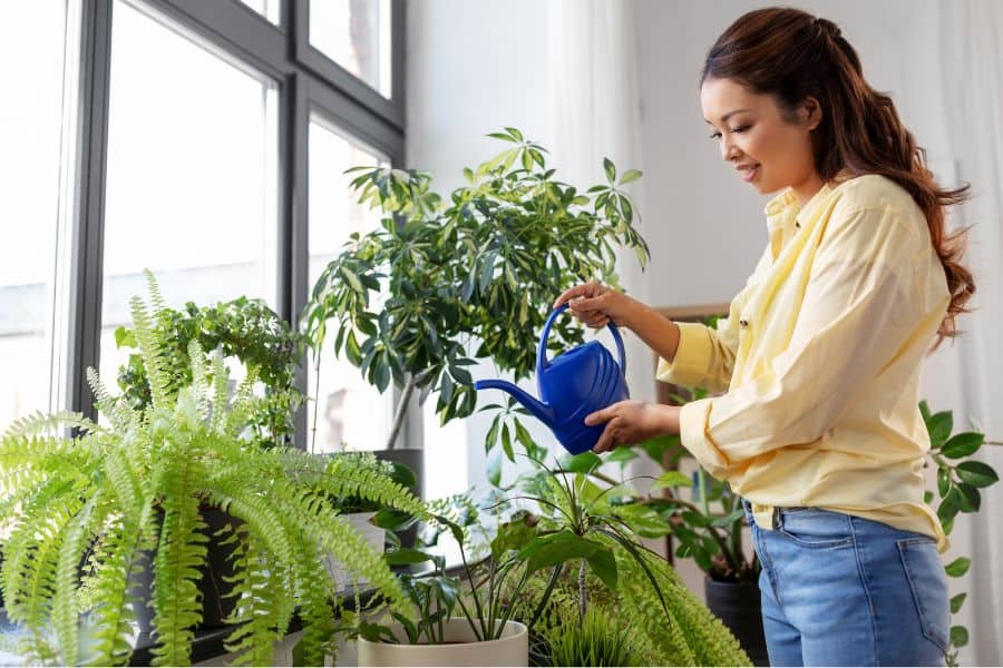 home care Yorktown, Poquoson, Newport News, and Hampton home care Yorktown, Poquoson, Newport News, and Hampton