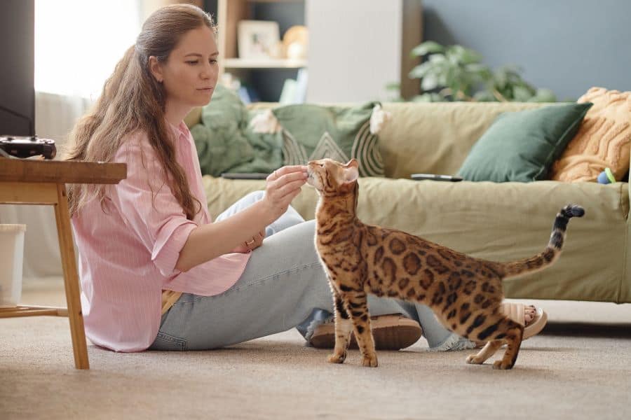 pet sitting Yorktown, Poquoson, Newport News, and Hampton pet sitting Yorktown, Poquoson, Newport News, and Hampton