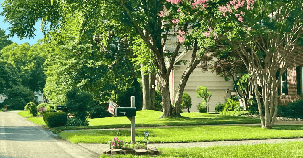 Our Favorite Local Businesses in Yorktown and Hampton Roads