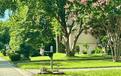 Our Favorite Local Businesses in Yorktown and Hampton Roads