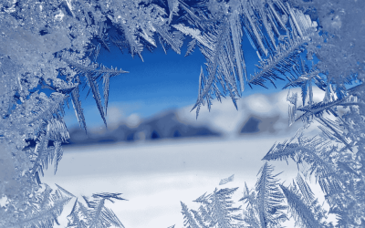 Keeping Pets Safe During Winter Power Outages in Hampton Roads