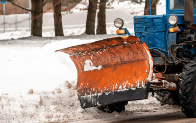 How Professional Pet Sitters Prepare for the Unexpected in Hampton Roads