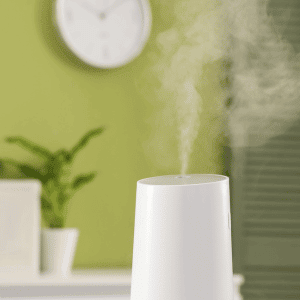 5 In-Home Dangers That Are Making Yorktown Pets Sick