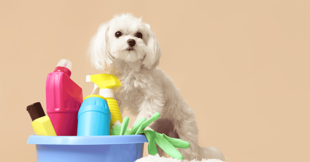 5 In-Home Dangers That Are Making Yorktown Pets Sick